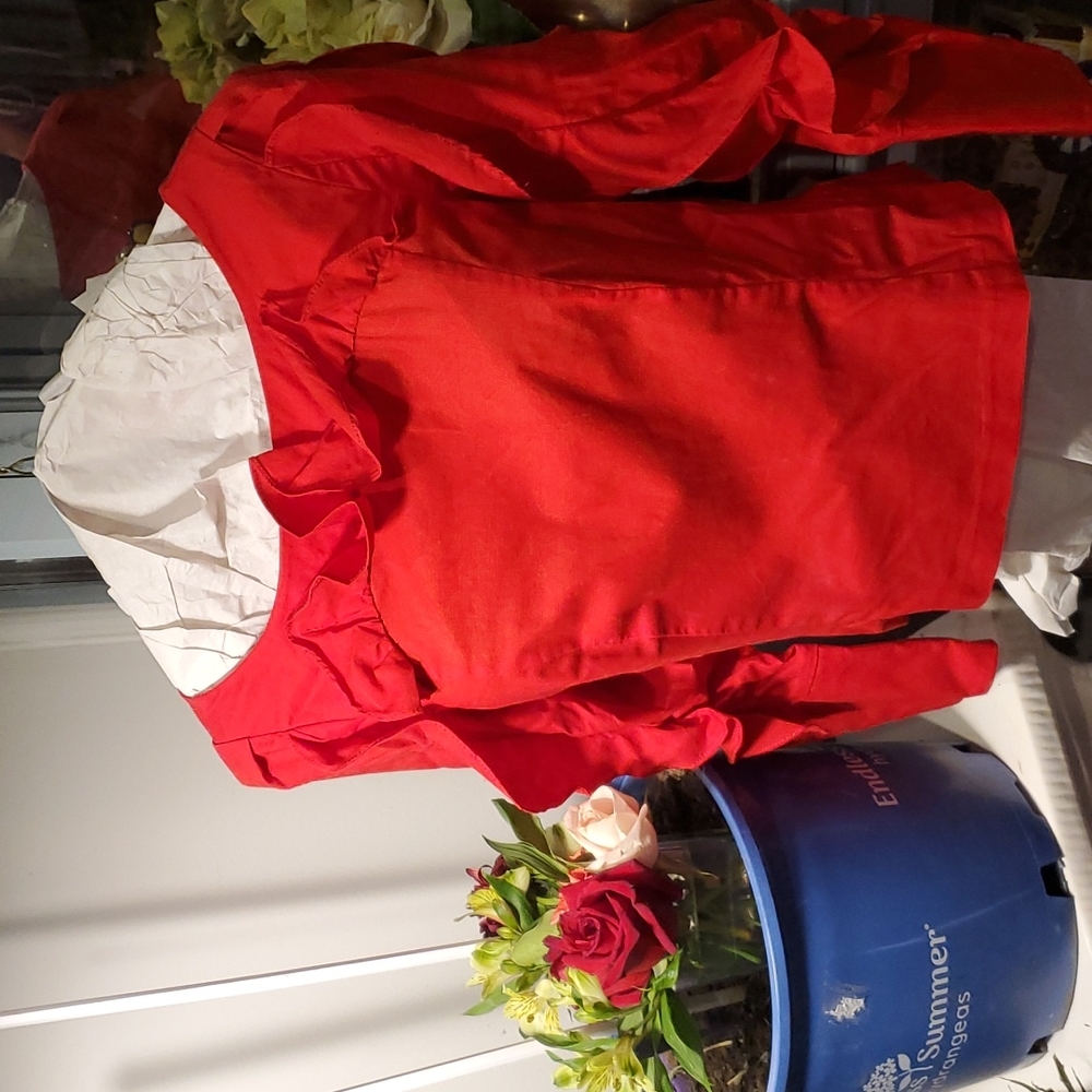 Intermix Rich Holiday Red Ruffled long sleeve Blouse  Size P